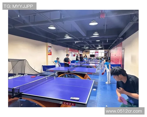 武汉乒乓球队的训练与竞技状态全景揭秘乒乓球的魅力与挑战