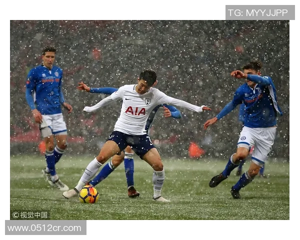 罗奇代尔主场迎战维尔港期待精彩对决与胜利的较量